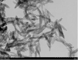 Preparation method for BiOBr nanorod, and applications