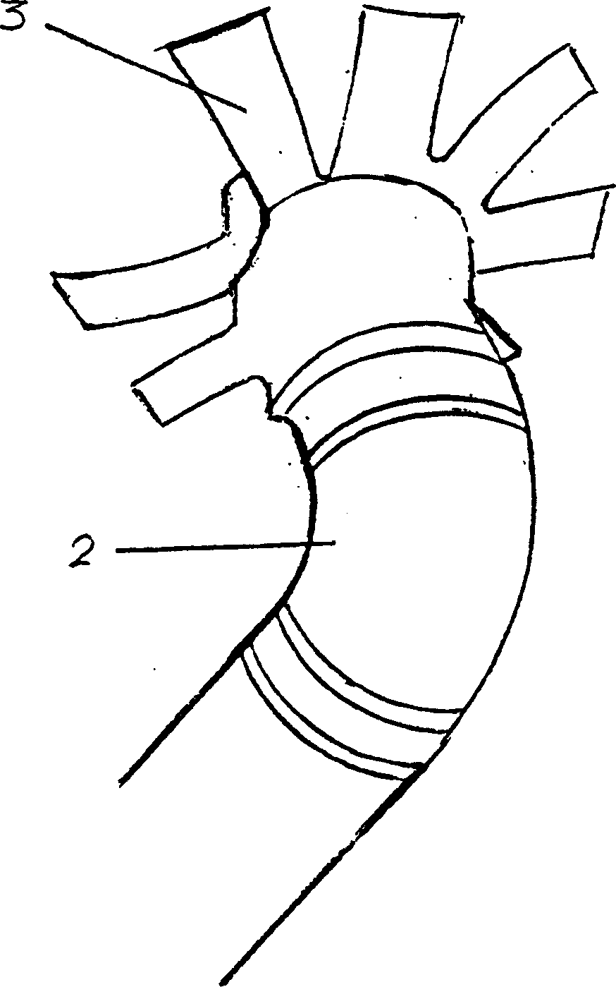 Unidirectional heat conduction apparatus