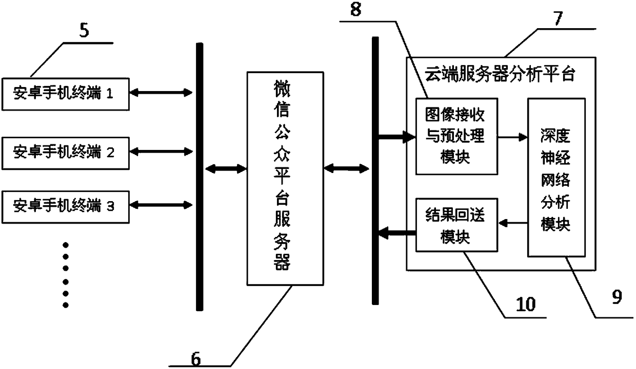 American ginseng quality identification assistant based on Wechat mini program and deep learning technology