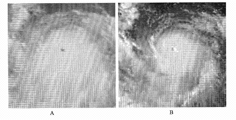 Method for fusing typhoon cloud pictures based on NSCT (Nonsubsampled Controurlet Transformation) and particle swarm optimization algorithm