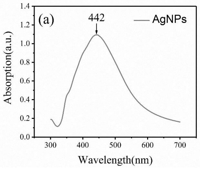 Raman homogeneous detection method for recognizing binding antigen by utilizing antibody