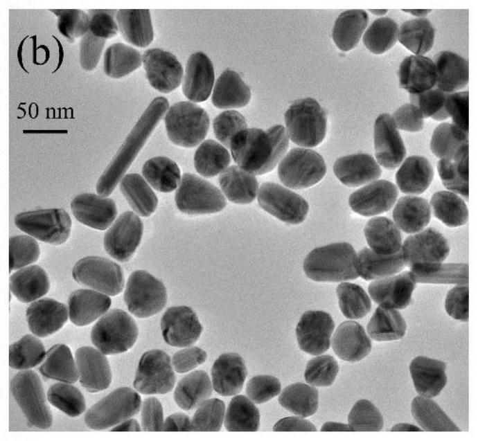 Raman homogeneous detection method for recognizing binding antigen by utilizing antibody