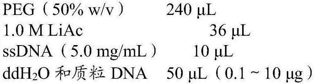 Tobacco KC1 gene, and preparation method and application thereof