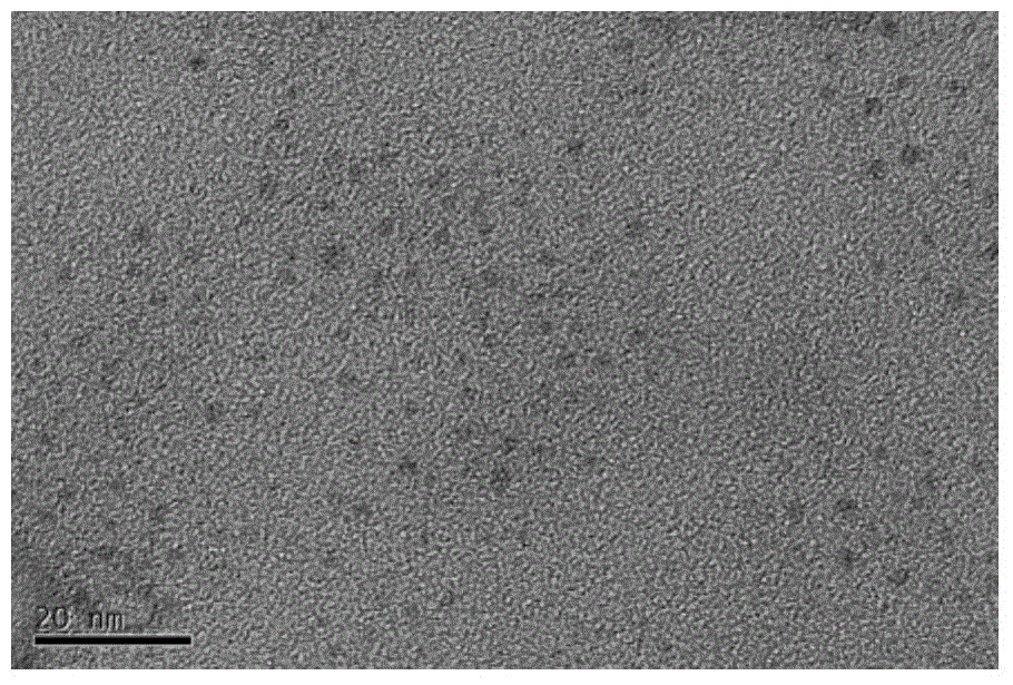 Atmospheric micro plasma assisted preparation method and application of acid resistant carbon quantum dot