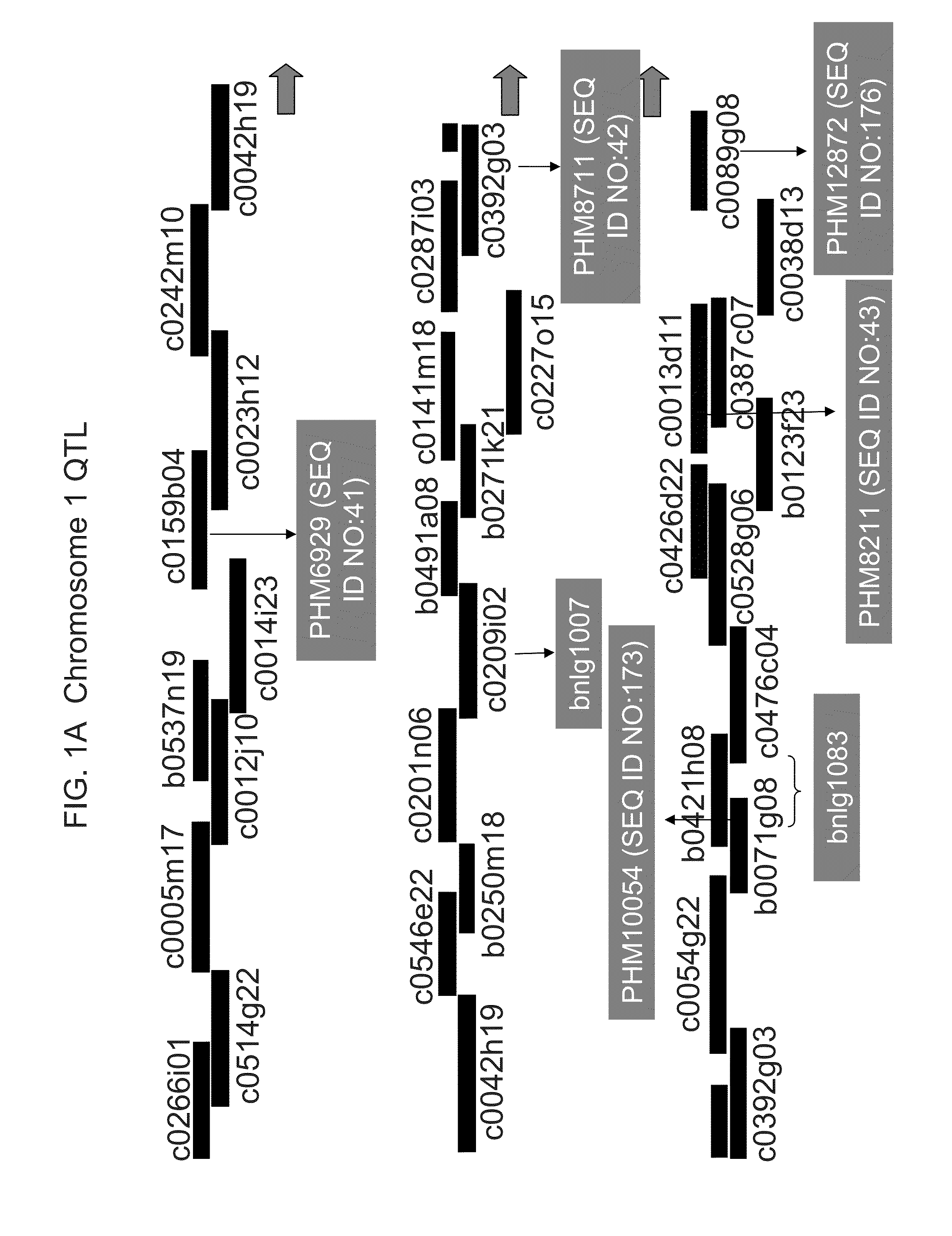 Genetic loci associated with Fusarium ear mold resistance in maize