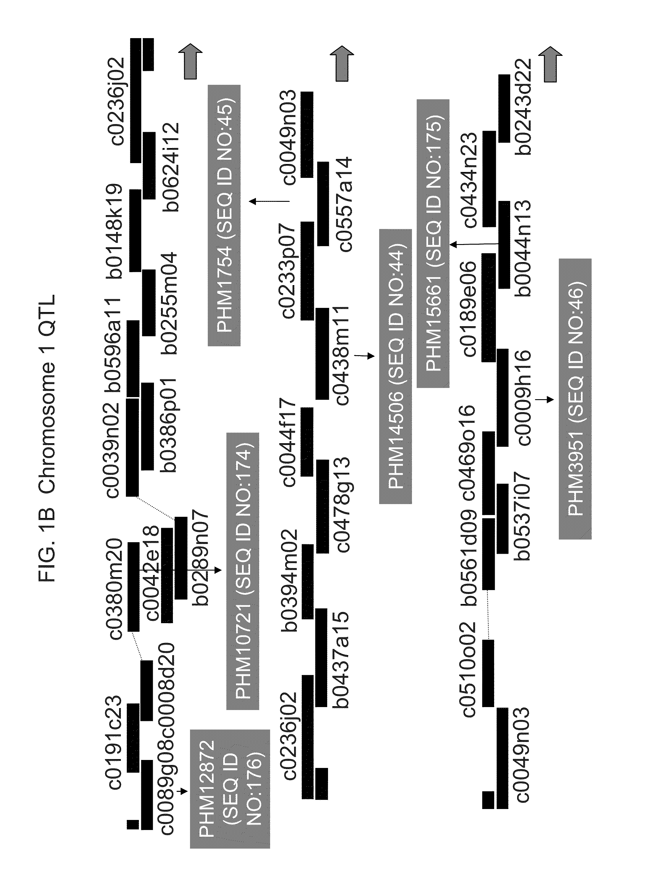 Genetic loci associated with Fusarium ear mold resistance in maize