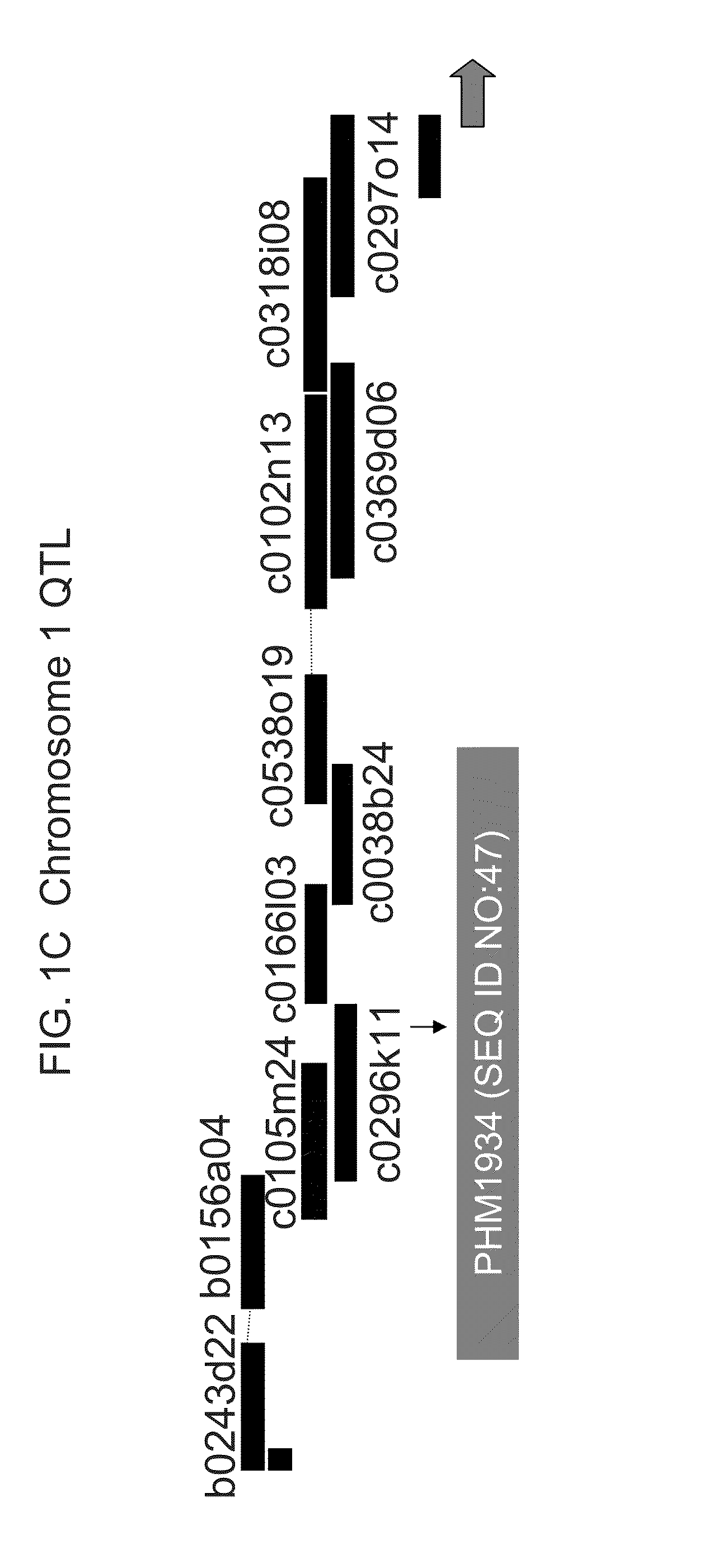 Genetic loci associated with Fusarium ear mold resistance in maize