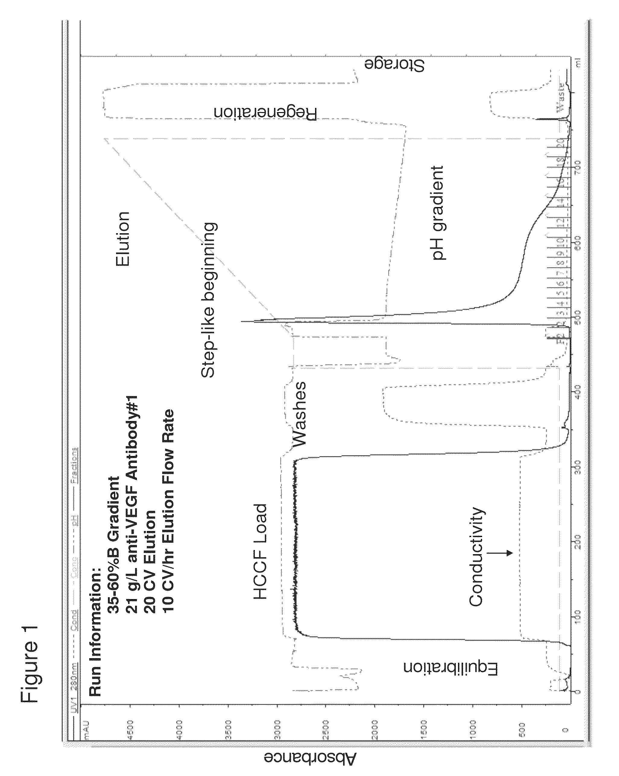 Enhanced protein purification through a modified protein A elution