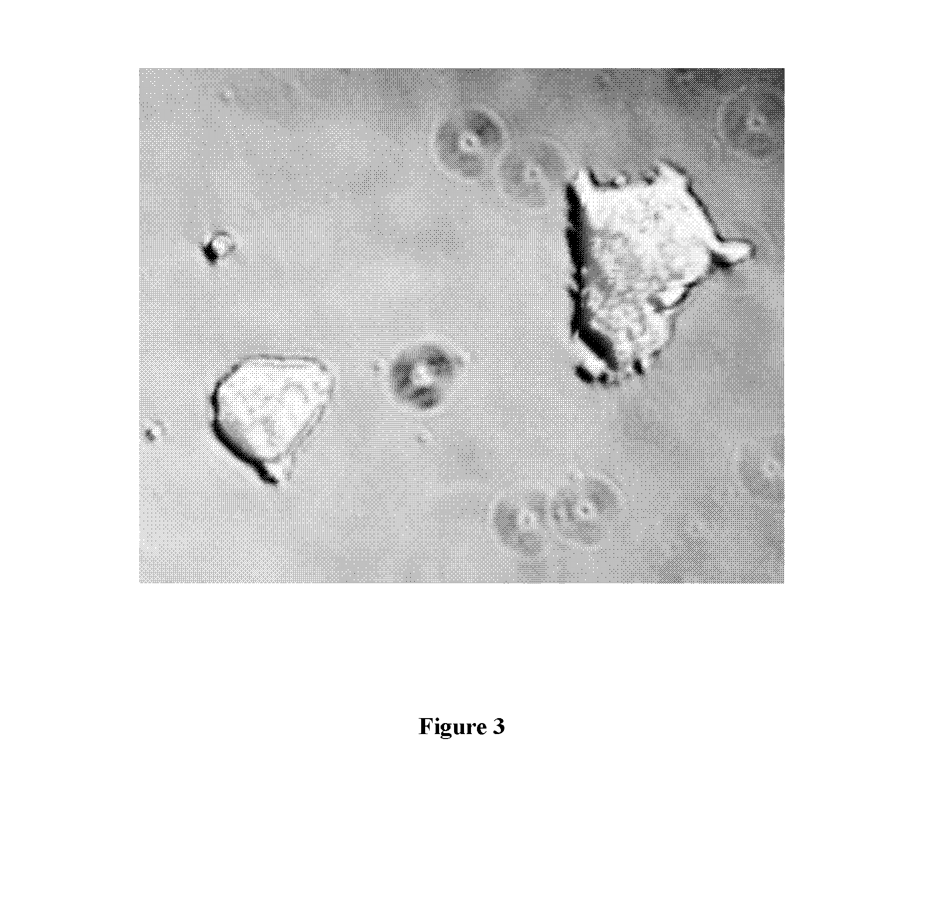 Compositions and methods for re-programming cells without genetic modification for repairing cartilage damage