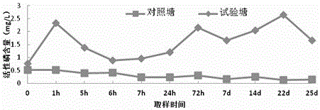 A kind of synergistic breeding method for resourceful treatment of bottom sludge in intensive culture ponds