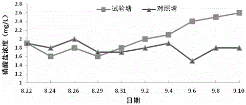 A kind of synergistic breeding method for resourceful treatment of bottom sludge in intensive culture ponds