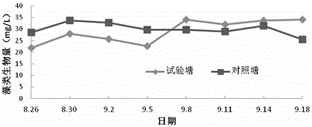 A kind of synergistic breeding method for resourceful treatment of bottom sludge in intensive culture ponds