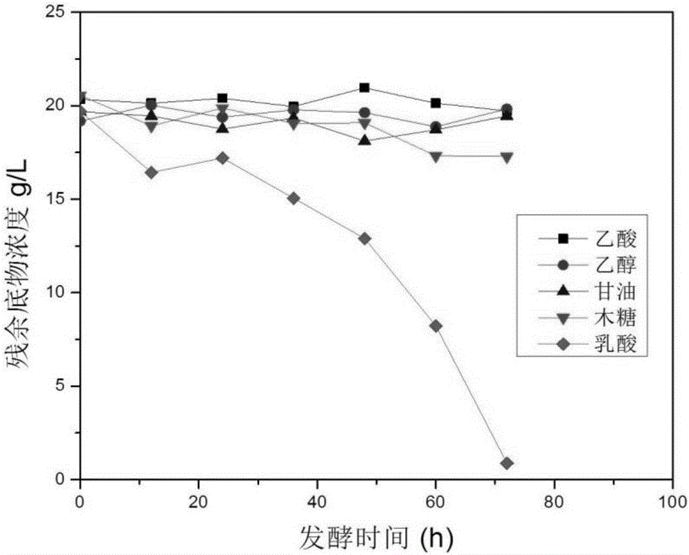 Double-bacteria system construction method for PHA accumulation