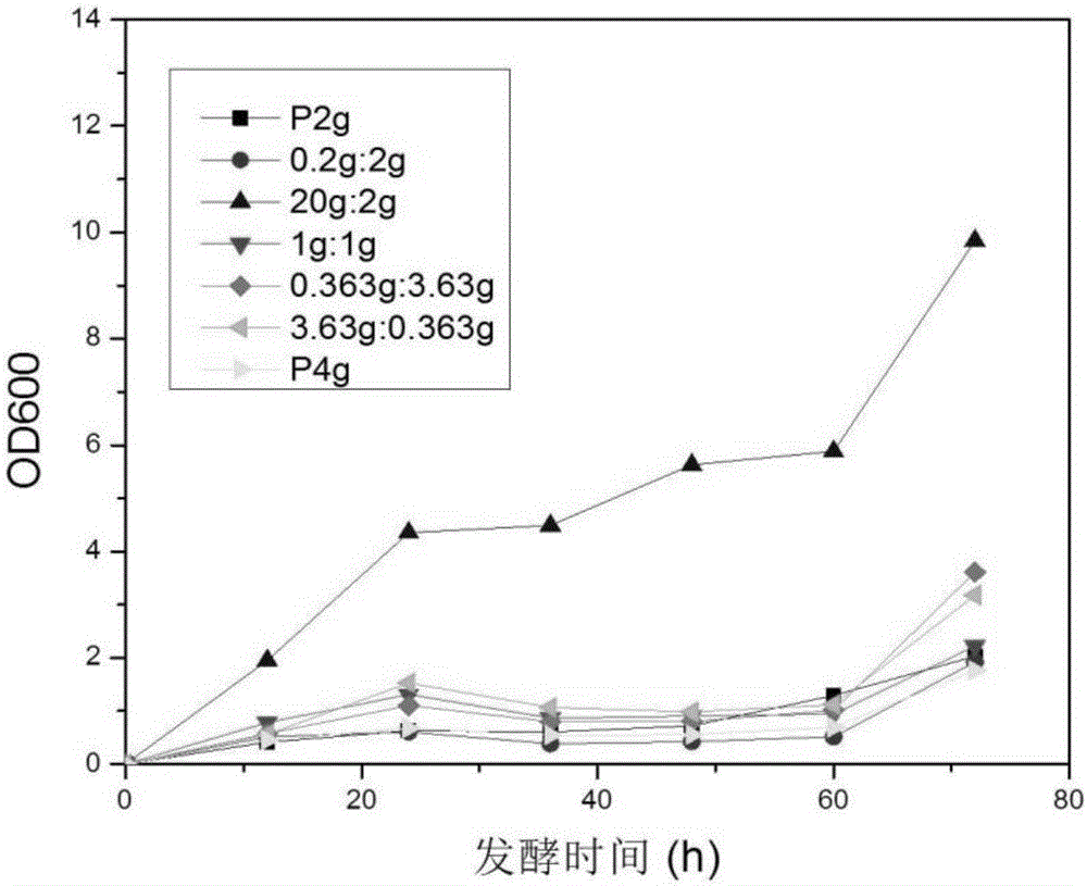 Double-bacteria system construction method for PHA accumulation