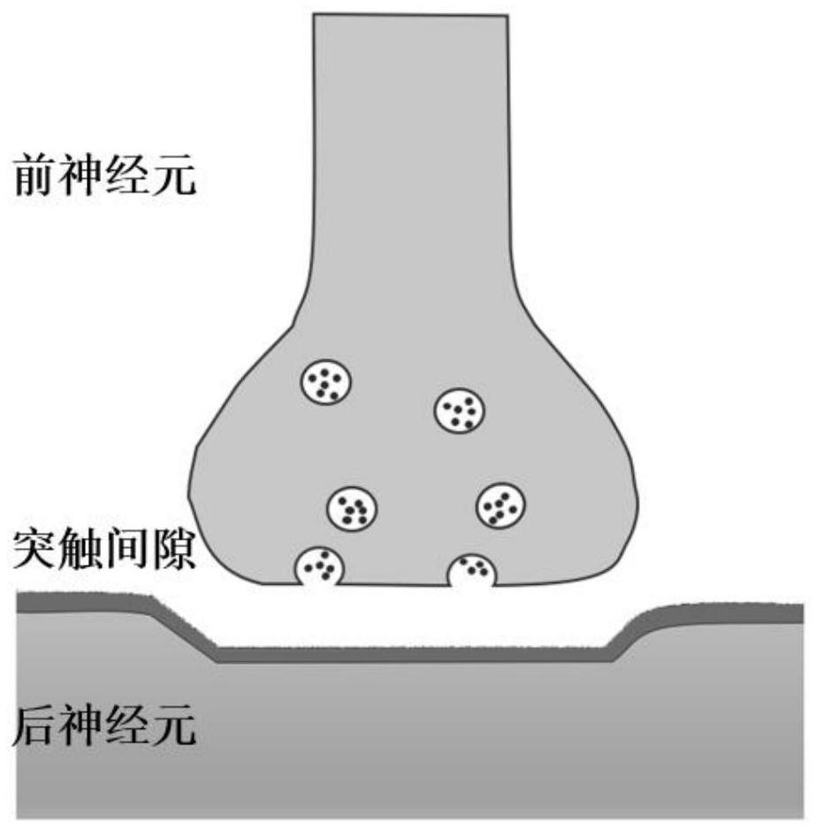 A preparation method of two-terminal artificial synapse electronic device based on organic/inorganic hybrid perovskite