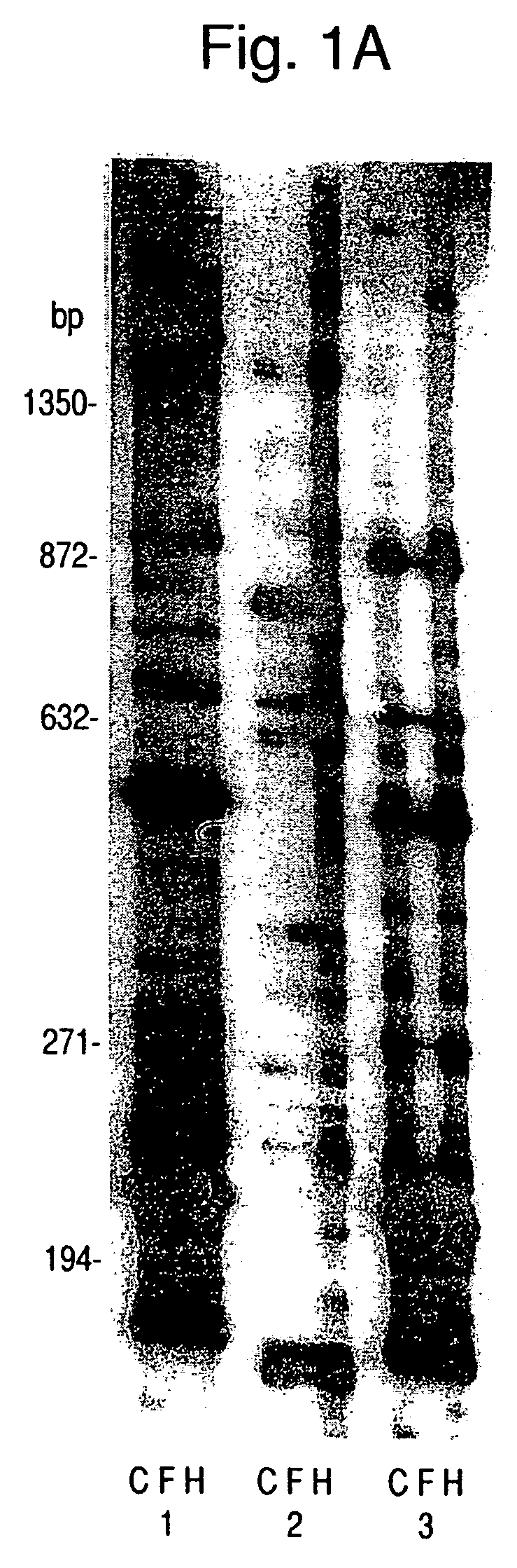 Nucleic acid and amino acid sequences of hemoglobin-response genes in Candida albicans and the use of reagents derived from these sequences in the diagnosis of disseminated Candida albicans infection