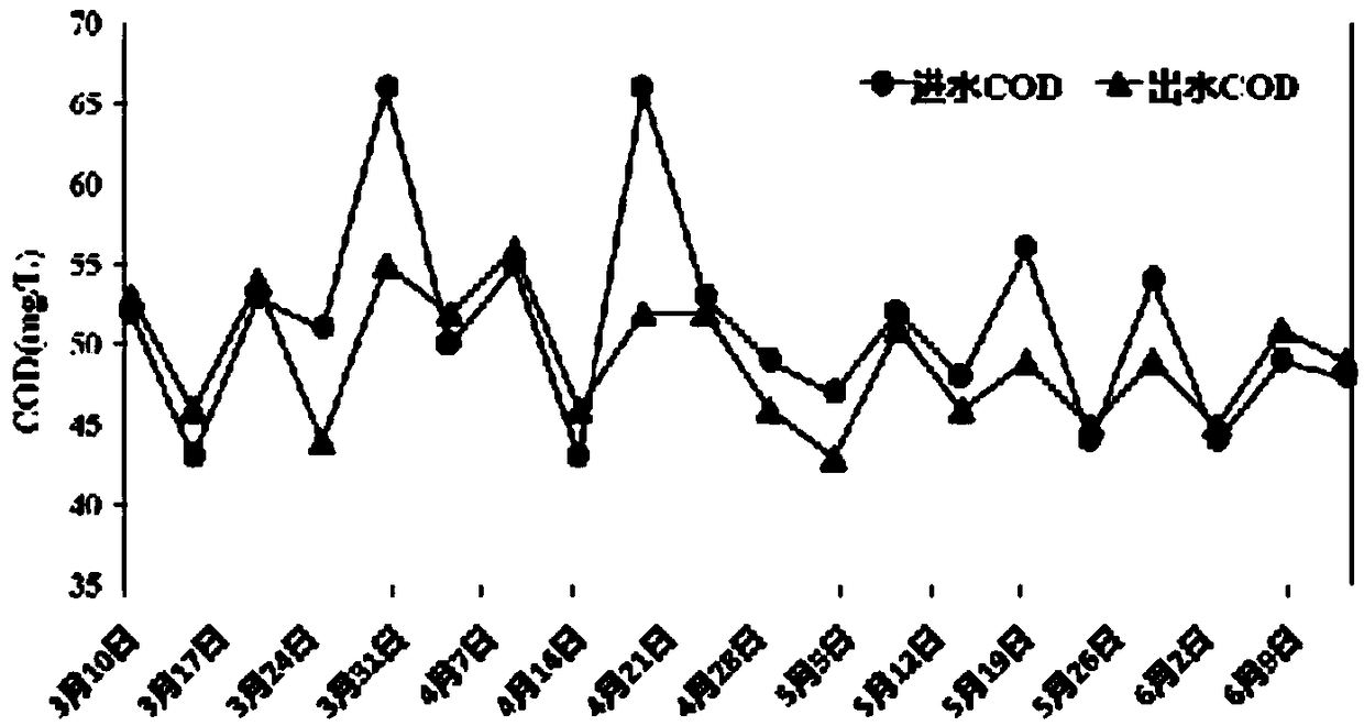 Autotrophic deep bed filter using novel composite filler