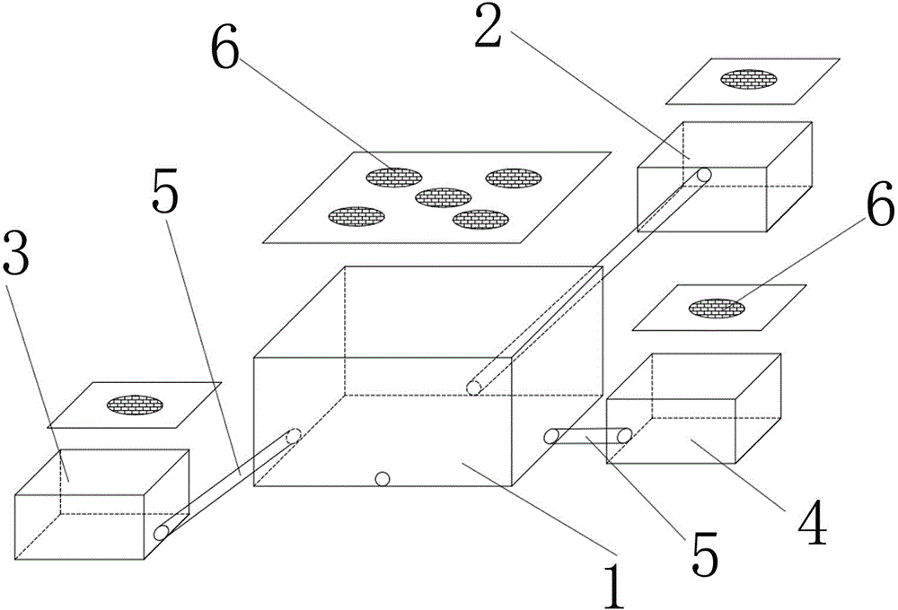 Indoor feeding device and feeding method for odontotermes