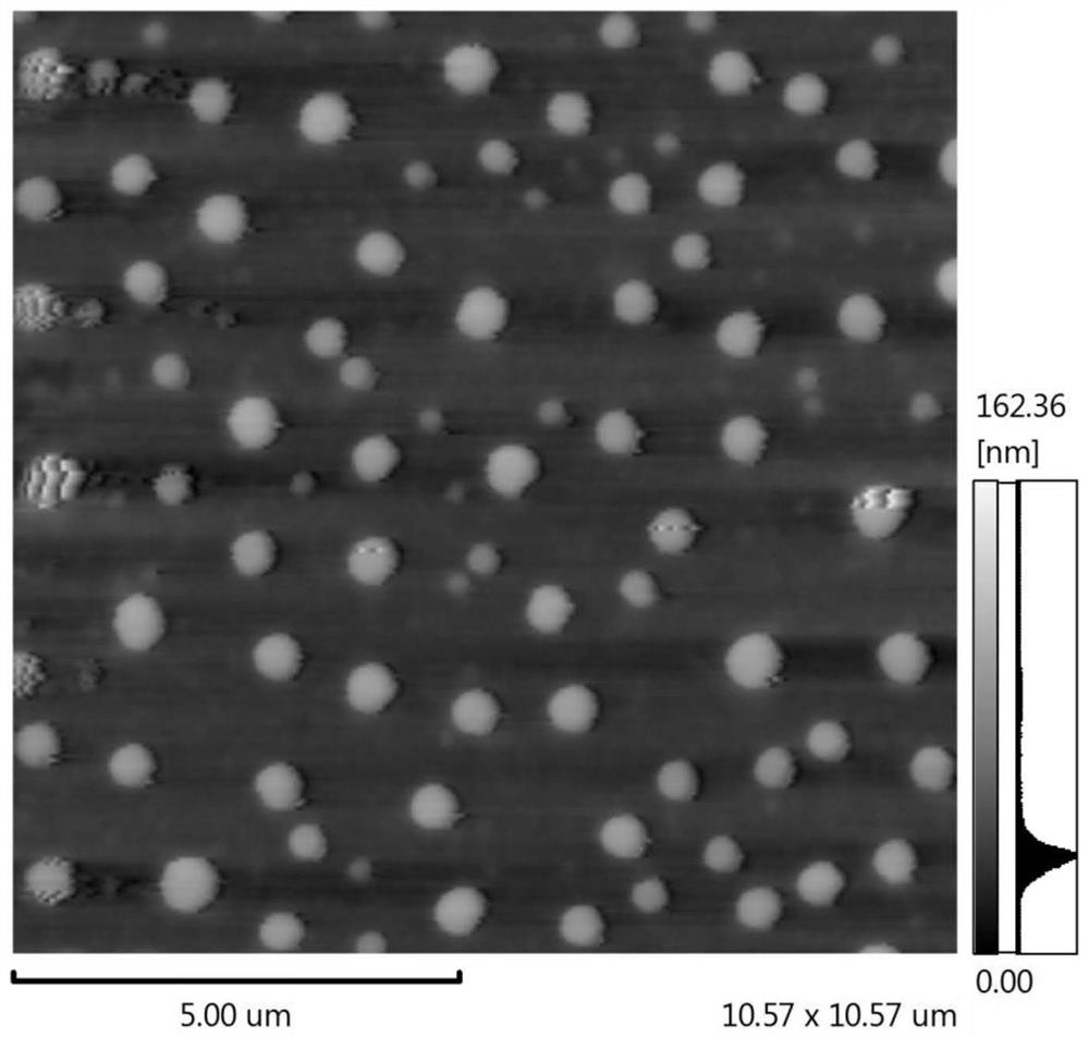 Method for debitterizing walnut peptide by utilizing sugar alcohol liposome precursor