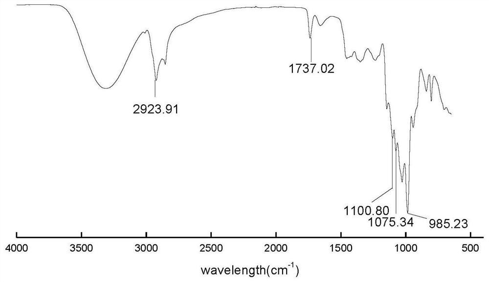 Method for debitterizing walnut peptide by utilizing sugar alcohol liposome precursor