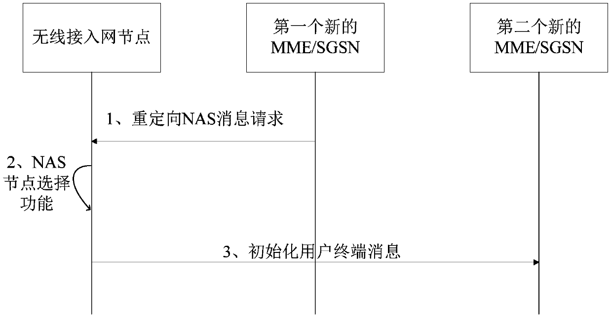Dedicated network selection method, terminal, access network node and core network node