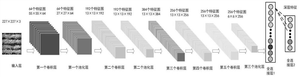 Wheat leaf layer nitrogen content estimation method based on RGB image fusion features