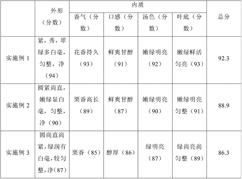 Baked type Xinyang Maojian tea and processing technology thereof