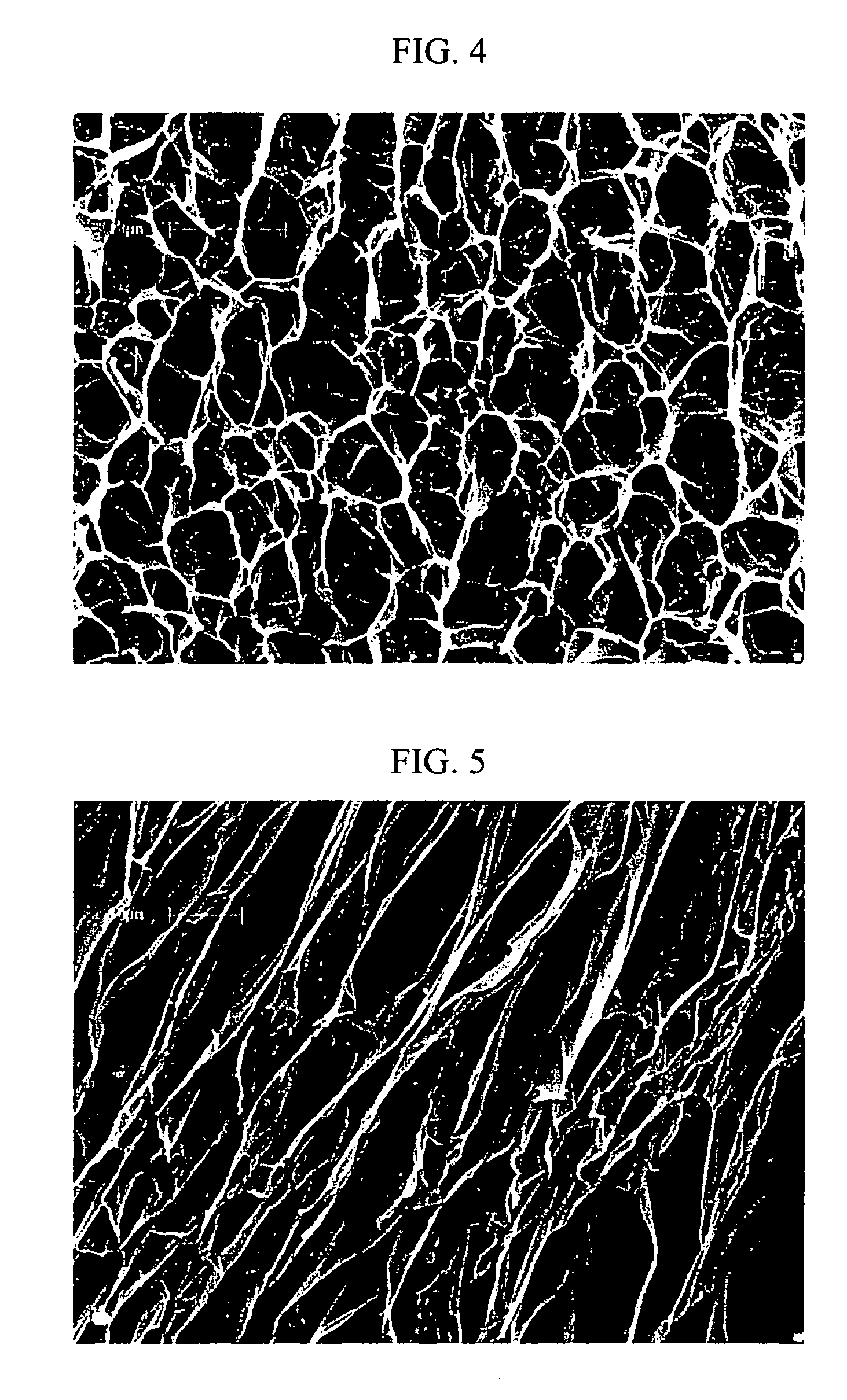 Hydrocolloids and process therefor