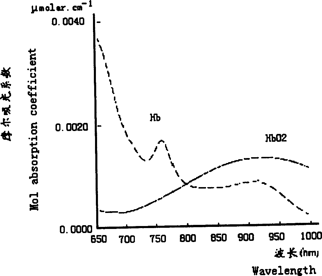 Method for detecting newborn baby partial tissue oxygen saturation under oxygen absorption stimulation