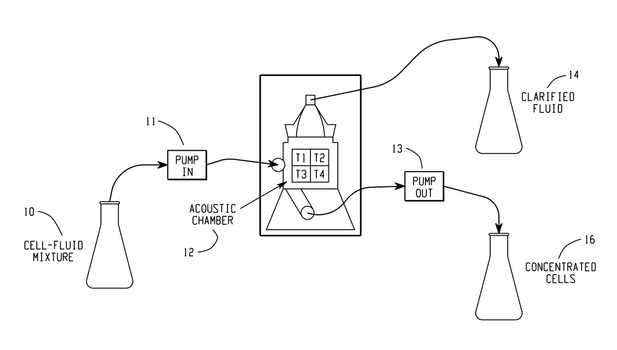 Methods and apparatus for particle aggregation using acoustic standing waves