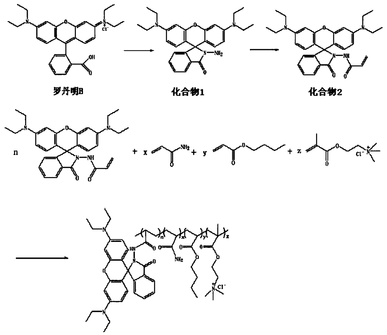 A kind of polymer pH fluorescent probe for cotton transfer printing and dyeing and its preparation method and application