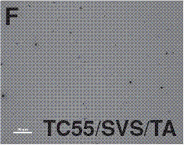 Thin film spray coating machine and thin film preparation method