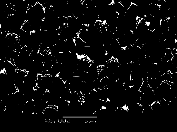 Biological magnesium alloy with surface coated with sodium magnesium fluoride film and preparation method thereof