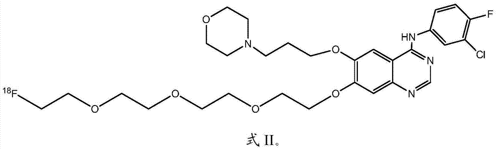 18F-labeled quinazoline type EGFR (epidermal growth factor receptor) positron tracer, as well as preparation method and application thereof