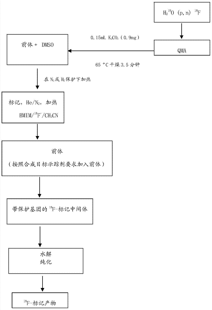 18F-labeled quinazoline type EGFR (epidermal growth factor receptor) positron tracer, as well as preparation method and application thereof