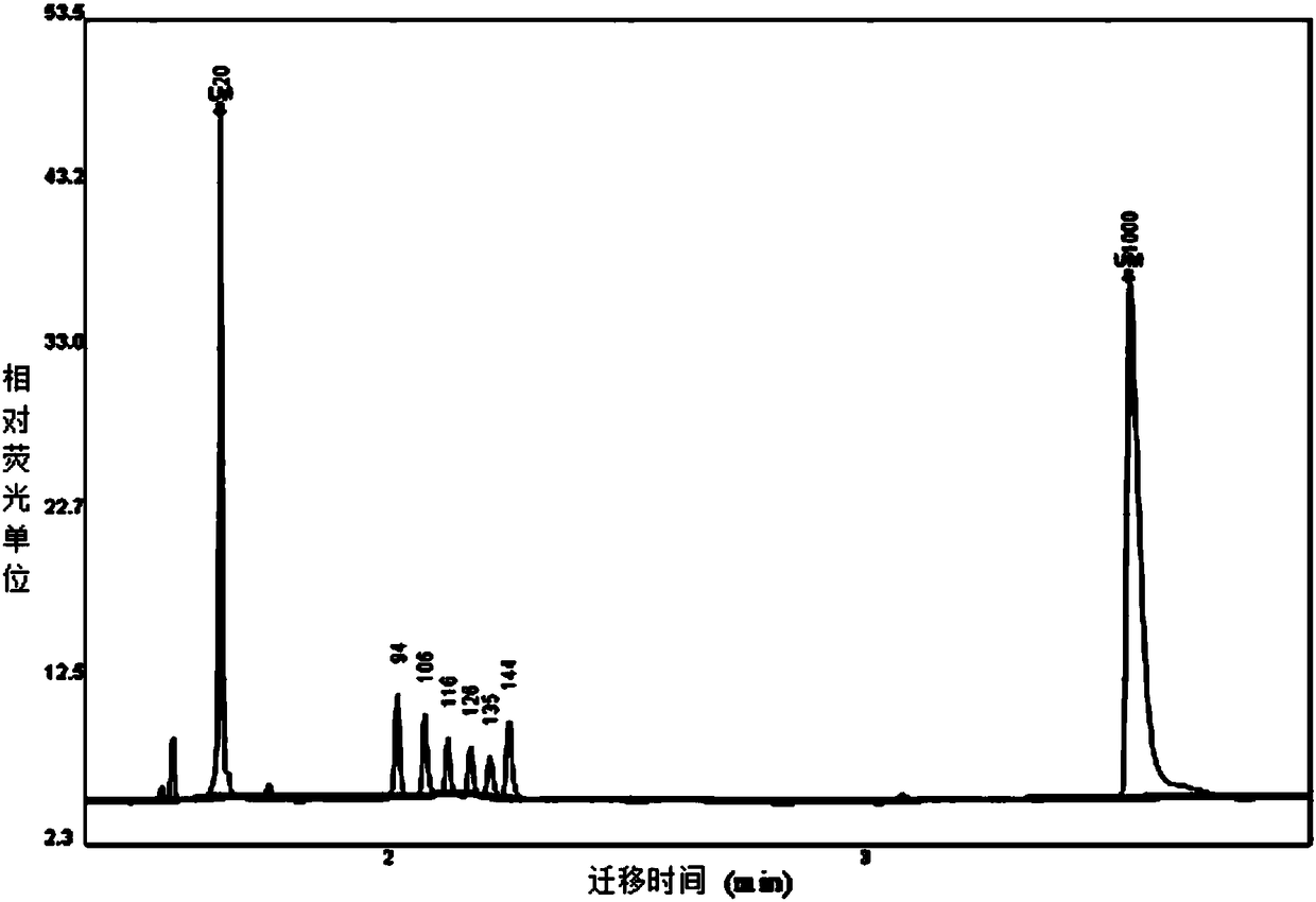 MLPA (multiplex ligation-dependent probe amplification) identification kit capable of detecting multiple pathogens causing sudden death of pigs