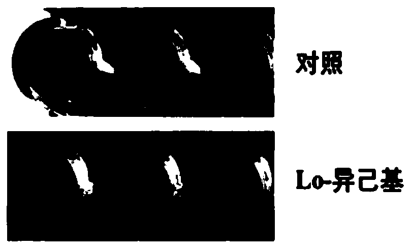 Inhibitor Lo-isohexyl for resisting virulence of staphylococcus aureus and formation of biofilms, and application of inhibitor Lo-isohexyl