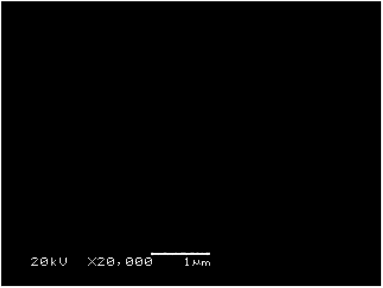 Molten carbonate fuel cell structure