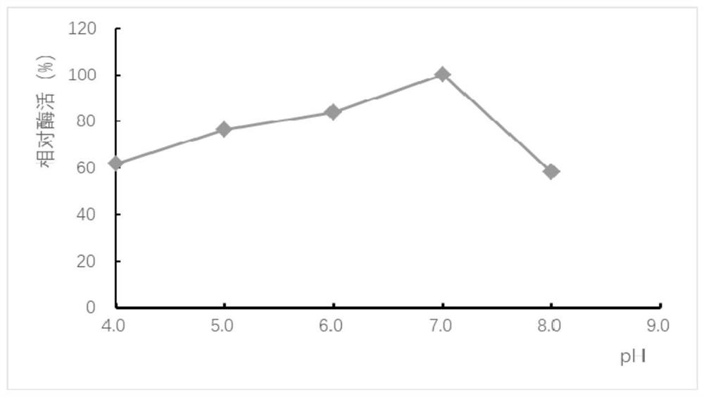 A preparation method of low molecular weight hyaluronic acid based on near-infrared spectroscopy