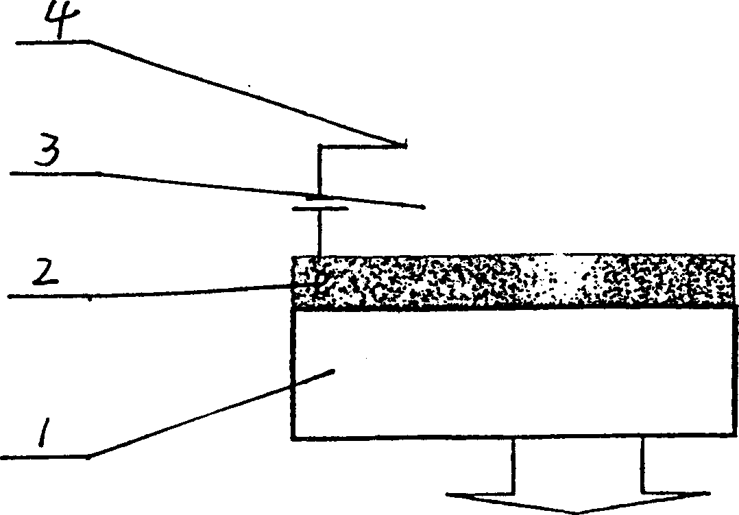 Method for mfg. organic electroluminescent display panel covered with protective film