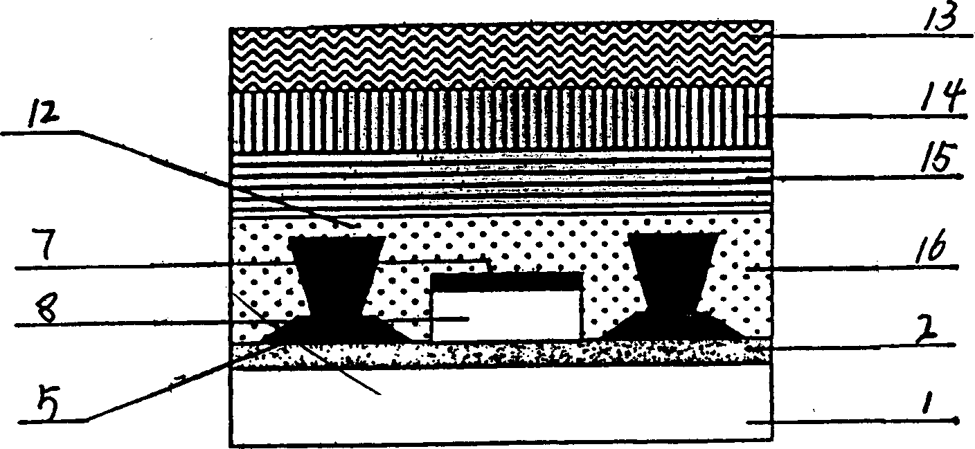 Method for mfg. organic electroluminescent display panel covered with protective film