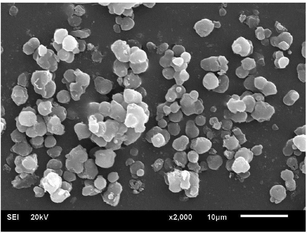 Drug-loaded egg protein microspheres and preparation method thereof