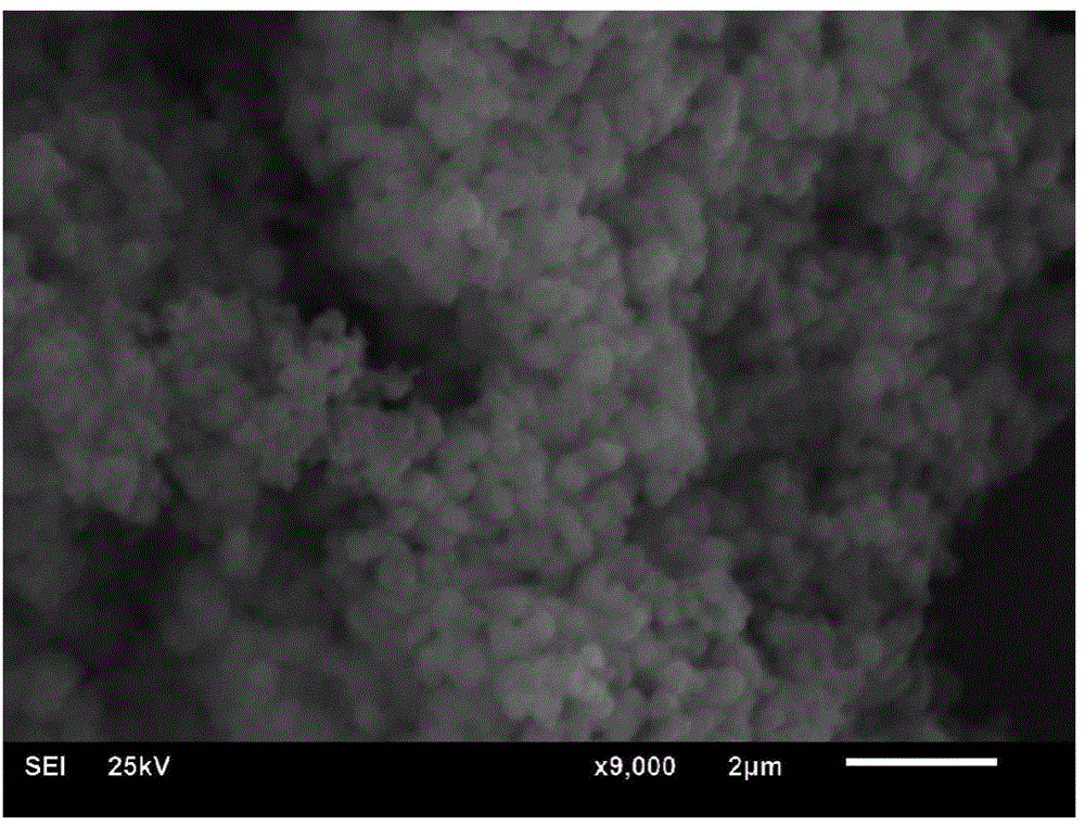 Drug-loaded egg protein microspheres and preparation method thereof