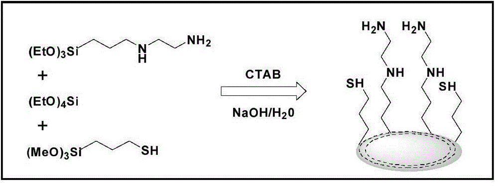 Sulfydryl-amidogen modified mesoporous silicon material as well as preparation method and application thereof