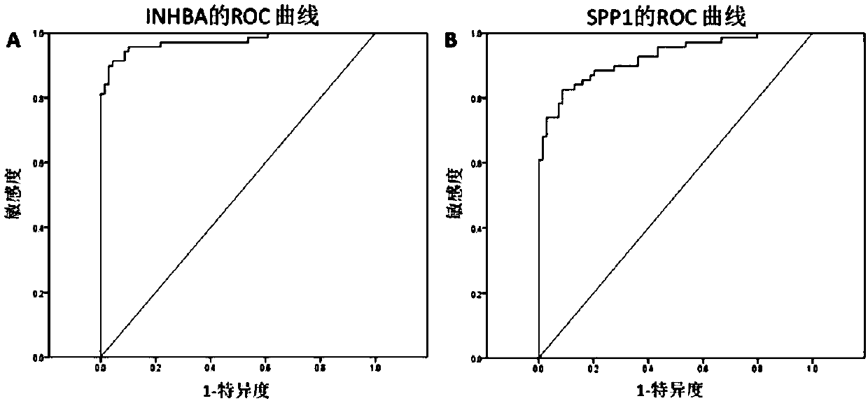 Molecular markers INHBA and SPP1 and application thereof