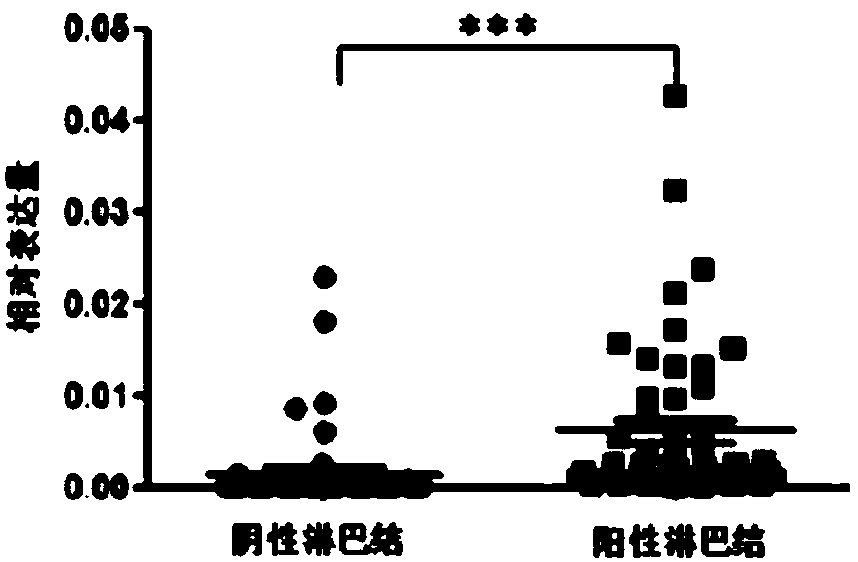 Molecular markers INHBA and SPP1 and application thereof