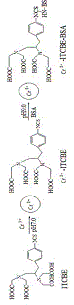 Chromium ion rapid detection gold standard test paper and its preparation method and application