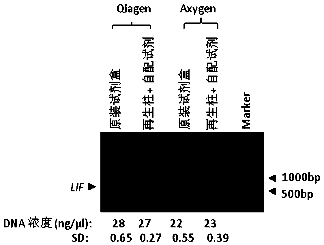 DNA gel extraction reagent and method for purifying PCR products by using reagent