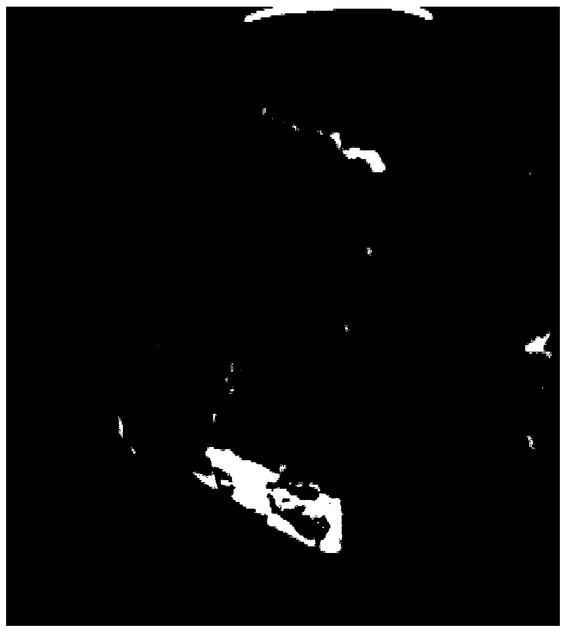 Nanogold for detecting Aphelenchoides besseyi and application thereof