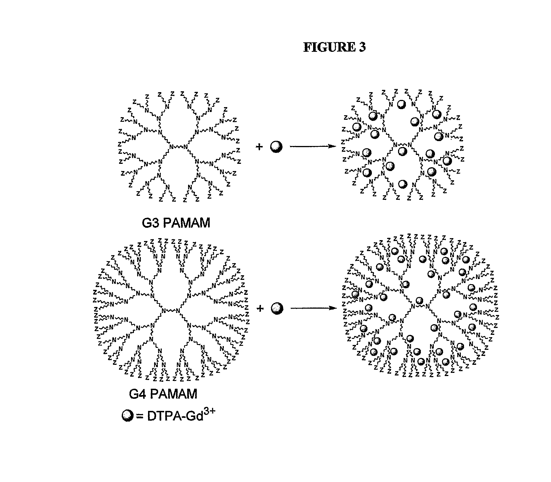 Encapsulated (Chelate or Ligand) Dendritic Polymers